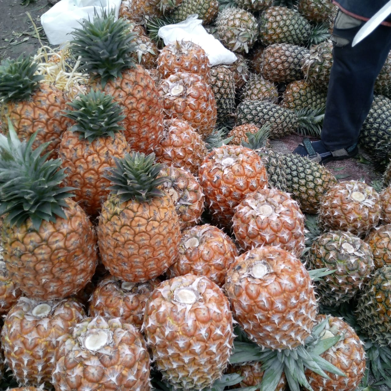 Product 1